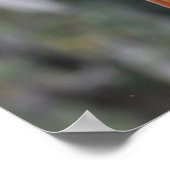 ボブラングリシュ |栗のオルデンバーグヘッドショット ポスター (角)