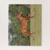 ボブラングリシュ |栗のクォーターホースフォールランニングズ ジグソーパズル (縦)