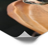 ボブラングリシュ |栗のクォーターホースヘッドショット ポスター (角)