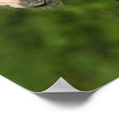 ボブラングリシュ |栗のワルンブロードのフォーールヘッドショット ポスター (角)