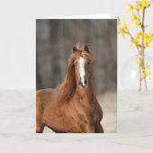 ボブラングリシュ |栗の辻馬車 カード (黄色い花)