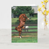 ボブラングリシュ |栗アラブスタリオンの飼育 カード (黄色い花)