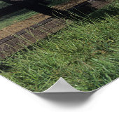 ボブラングリシュ |栗アラブスタリオンの飼育 ポスター (角)