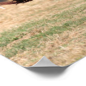 ボブラングリシュ |栗アラブスタリオンランニングの3 ポスター (角)