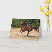 ボブラングリシュ |栗アラブスタリオンランニングズ カード (黄色い花)
