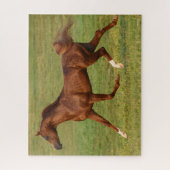 ボブラングリシュ |栗アラブスタリオンランニングズ ジグソーパズル (縦)