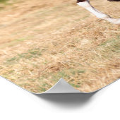 ボブラングリシュ |栗アラブスタリオンランニングズ ポスター (角)