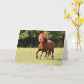 ボブラングリシュ |栗シェトランドポニースタリオン カード (黄色い花)