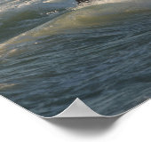 ボブラングリシュ |海の中のアラブの馬の歩く ポスター (角)