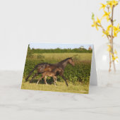 ボブラングリシュ |温血マレと野鳥歩く カード (黄色い花)