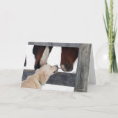 ボブラングリシュ |犬が馬の鼻をなめる カード (正面)