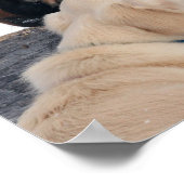 ボブラングリシュ |犬が馬の鼻をなめる ポスター (角)