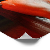 ボブラングリシュ |犬と一緒に立つアラブの馬 ポスター (角)