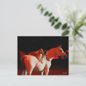 ボブラングリシュ |犬と一緒に立つアラブの馬 ポストカード (スタンド正面)