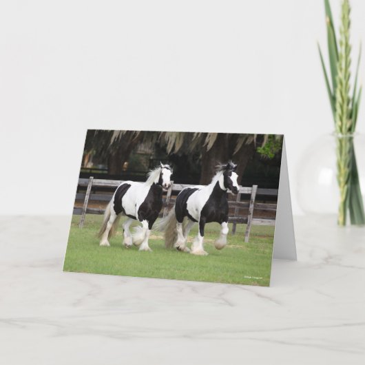 ボブラングリシュ |白黒のジプシーの横断幕2つ カード (正面)