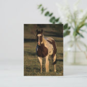 ボブラングリシュ 絵を描馬 ポストカード (スタンド正面)