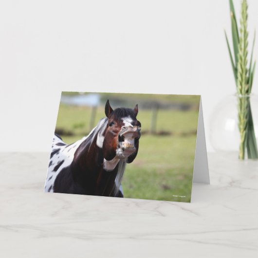 ボブラングリシュ | 絵を描 Horse Stallion Flehmen カード (正面)