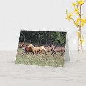 ボブラングリシュ |群れクォーターホーズ歩く カード (黄色い花)