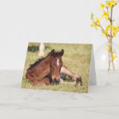 ボブラングリシュ |草の中に寝転がる熱い血の鳥 カード (黄色い花)