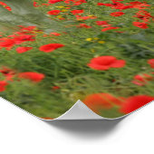 ボブラングリシュ |赤い花の中に立つ灰色のアラブ人 ポスター (角)