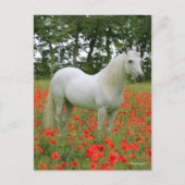 ボブラングリシュ |赤い花の中に立つ灰色のアラブ人 ポストカード (正面)