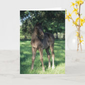 ボブラングリシュ |野原に立つサラブレッド・フォアル カード (黄色い花)