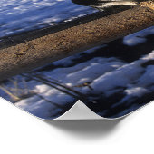 ボブラングリシュ |雪の中の馬と猫 ポスター (角)