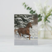 ボブラングリシュ |雪の中ランニングの栗の馬の馬 ポストカード (スタンド正面)