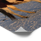 ボブラングリシュ |雪絵を描の中に2頭の馬 ポスター (角)