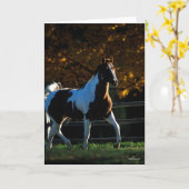 ボブラングリシュ |馬絵を描の歩く逆光の秋 カード (黄色い花)