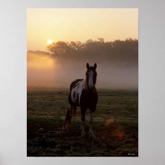 ボブラングリシュ |馬絵を描立ち霧の日の出 ポスター (正面)