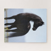 ボブラングリシュ |黒いアラブのスタリオン ジグソーパズル (横)