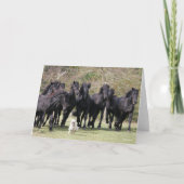 ボブラングリシュ |黒いミレンの馬と犬の群れ カード (正面)