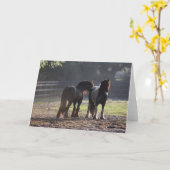 ボブラングリシュ | 2つのジプシーバナーがバックライトで点灯 カード (黄色い花)