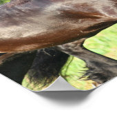 ボブラングリシュ | 2つのフリーシランニングア人が一緒に ポスター (角)