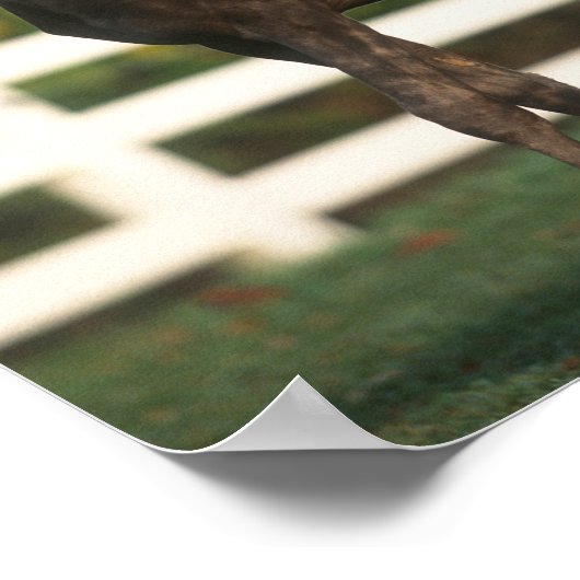 ボブラングリシュ | 2つの岩場の森が立つ ポスター (角)