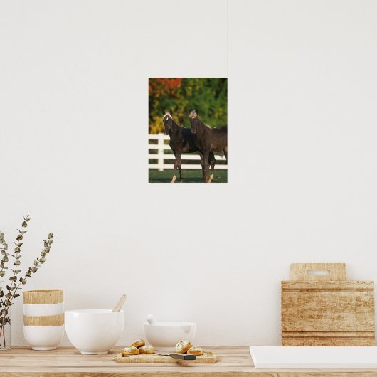 ボブラングリシュ | 2つの岩場の森が立つ ポスター (キッチン)