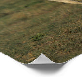 ボブラングリシュ | 2つの灰色のアラブランニングスのアラブ ポスター (角)