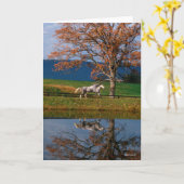 ボブラングリシュ | 2つをつないで温かい湖 カード (黄色い花)
