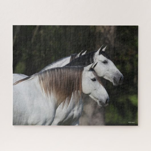 ボブラングリシュ | 2人のアンダルシア人が一緒に立つ ジグソーパズル (横)