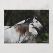 ボブラングリシュ | 2人のアンダルシア人が一緒に立つ ポストカード (正面)