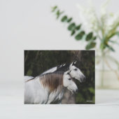 ボブラングリシュ | 2人のアンダルシア人が一緒に立つ ポストカード (スタンド正面)