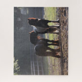 ボブラングリシュ | 2人のジプシーのバックライト付きバナー ジグソーパズル (縦)