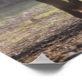 ボブラングリシュ | 2人のジプシーのバックライト付きバナー ポスター (角)