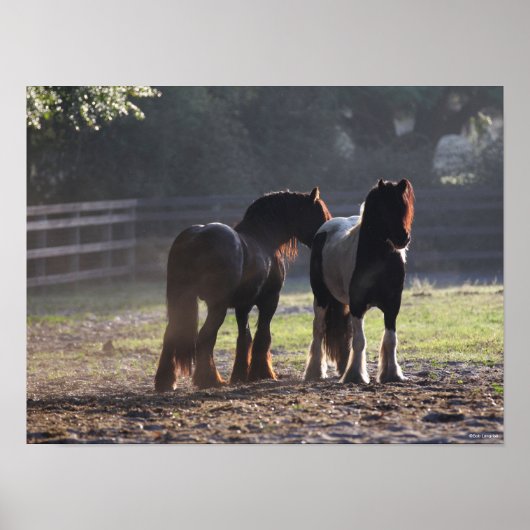 ボブラングリシュ | 2人のジプシーのバックライト付きバナー ポスター (正面)