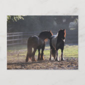 ボブラングリシュ | 2人のジプシーのバックライト付きバナー ポストカード (正面)