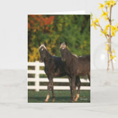 ボブラングリシュ |2匹の岩山の里が続く カード (黄色い花)