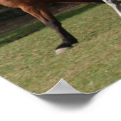 ボブラングリシュ | 2頭のアラブの馬が一緒に走る ポスター (角)