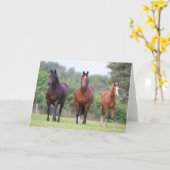 ボブラングリシュ | 2頭のウェールズのポニーがキツネと共に立つ カード (黄色い花)