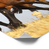 ボブラングリシュ | 3つのアンダルシアランニングマレス ポスター (角)